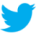 Visit Our Twitter Page!
